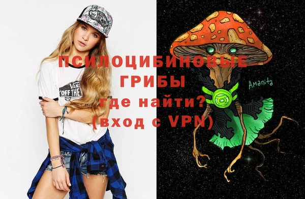 прущие крисы Абинск