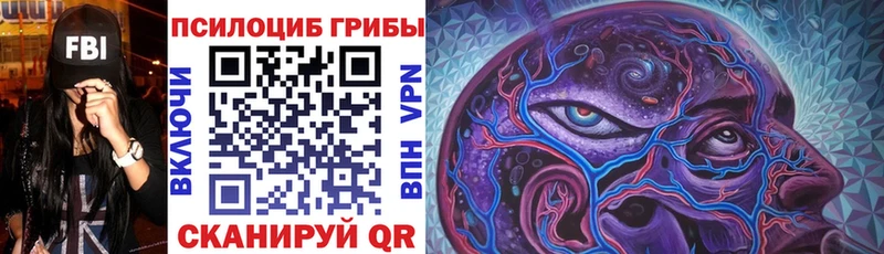 Псилоцибиновые грибы ЛСД Костерёво